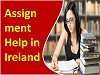 Assignment Help in Ireland Logo